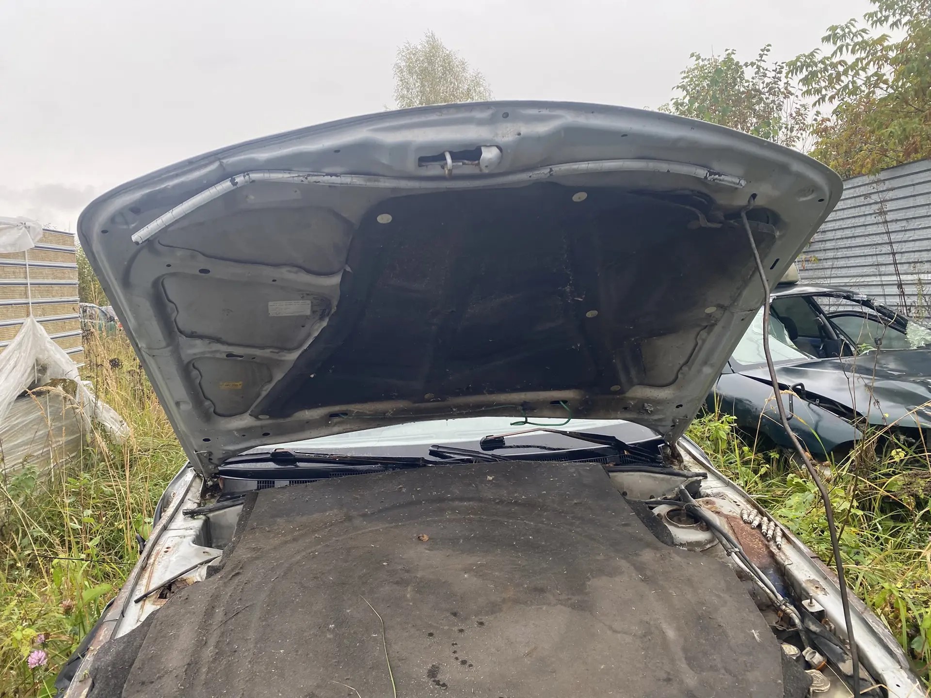 Mitsubishi Galant (E5) 1993-1997 Капот Mitsubishi Galant E5 1993-1997 (шпаклеван) MB861835